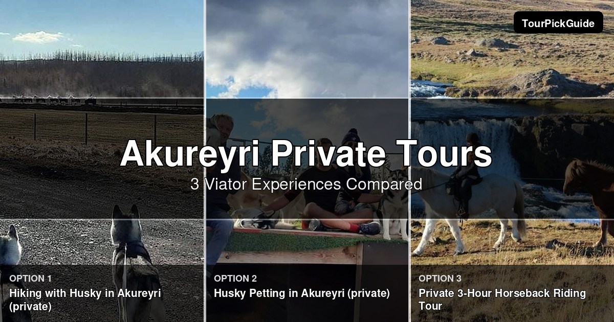 Akureyri private tours – three Viator experiences compared