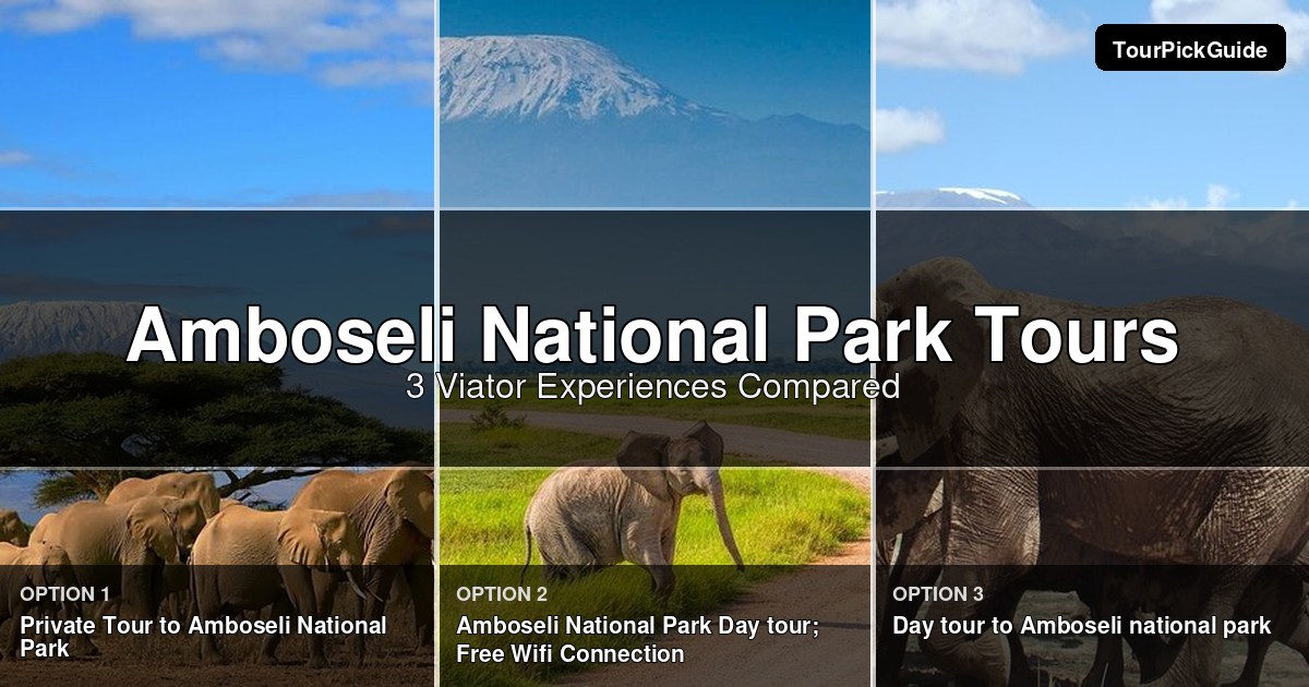 Amboseli National Park tours – three Viator experiences compared