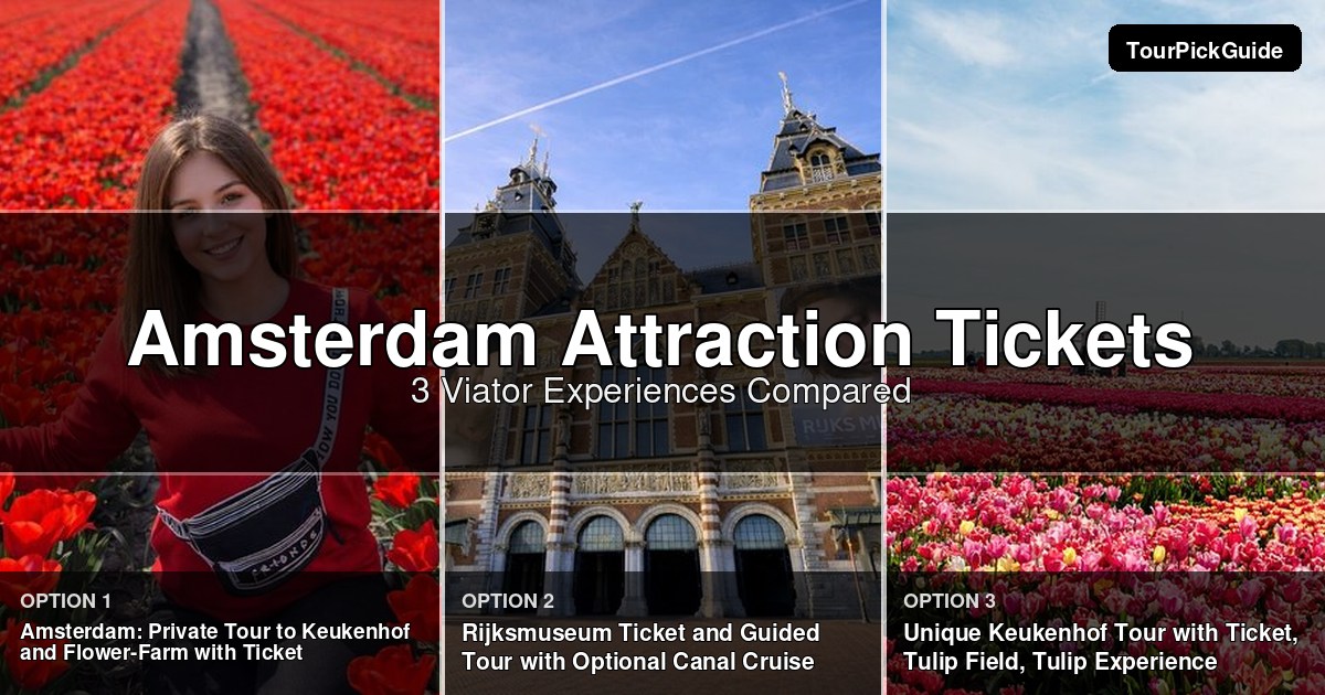 Amsterdam attraction tickets – three Viator experiences compared