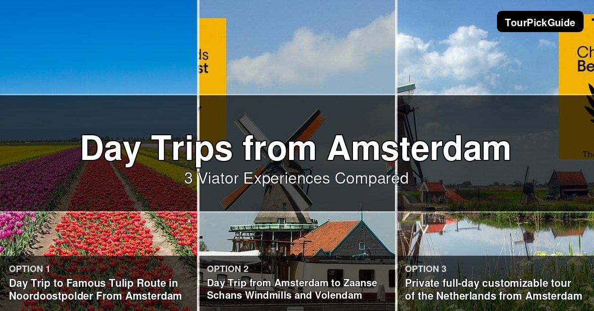 Amsterdam day trips – three Viator experiences compared