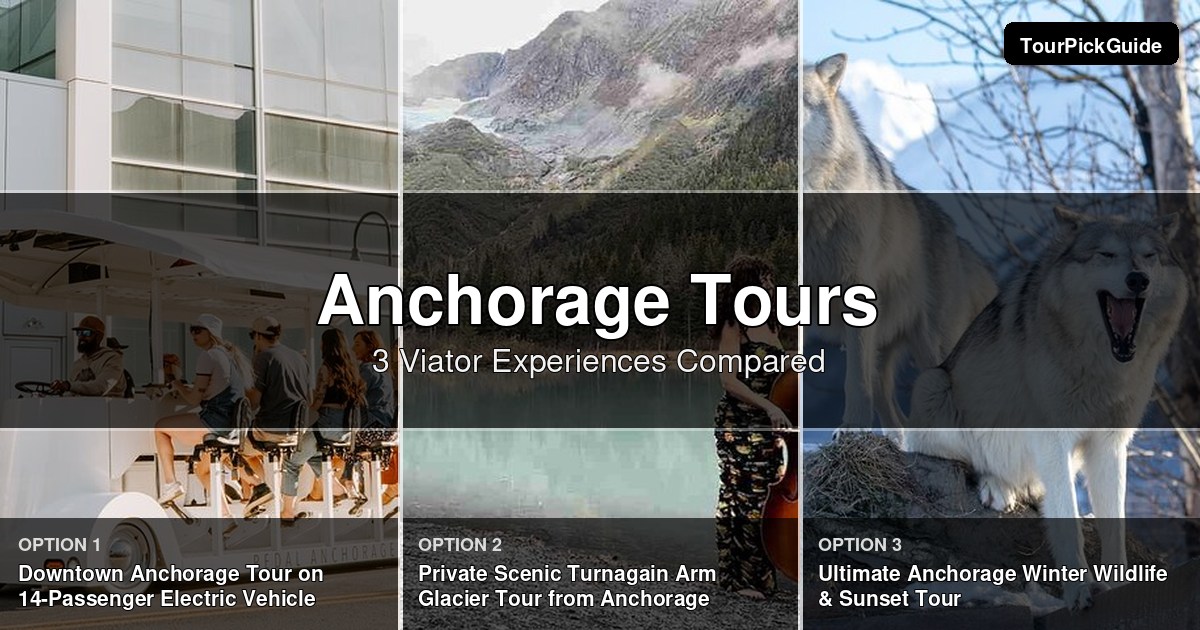 Anchorage tours – three Viator experiences compared