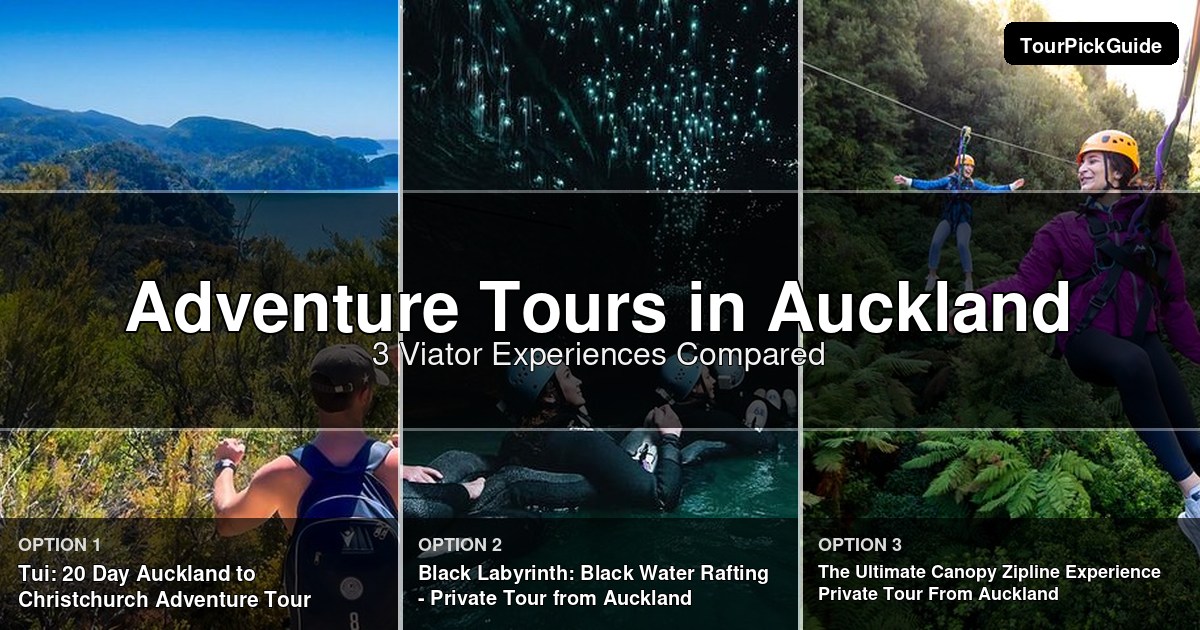 Auckland adventure tours – three Viator experiences compared