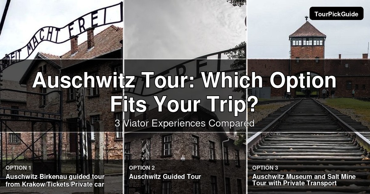 auschwitz tour – three Viator experiences compared