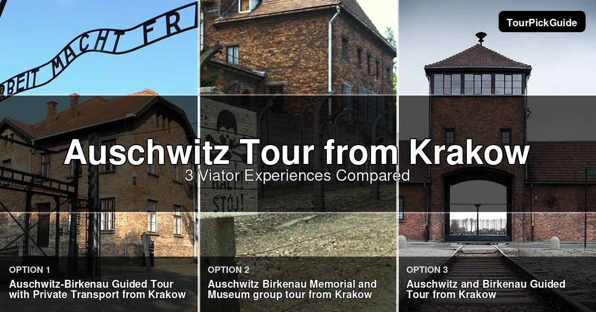 auschwitz tour from krakow – three Viator experiences compared