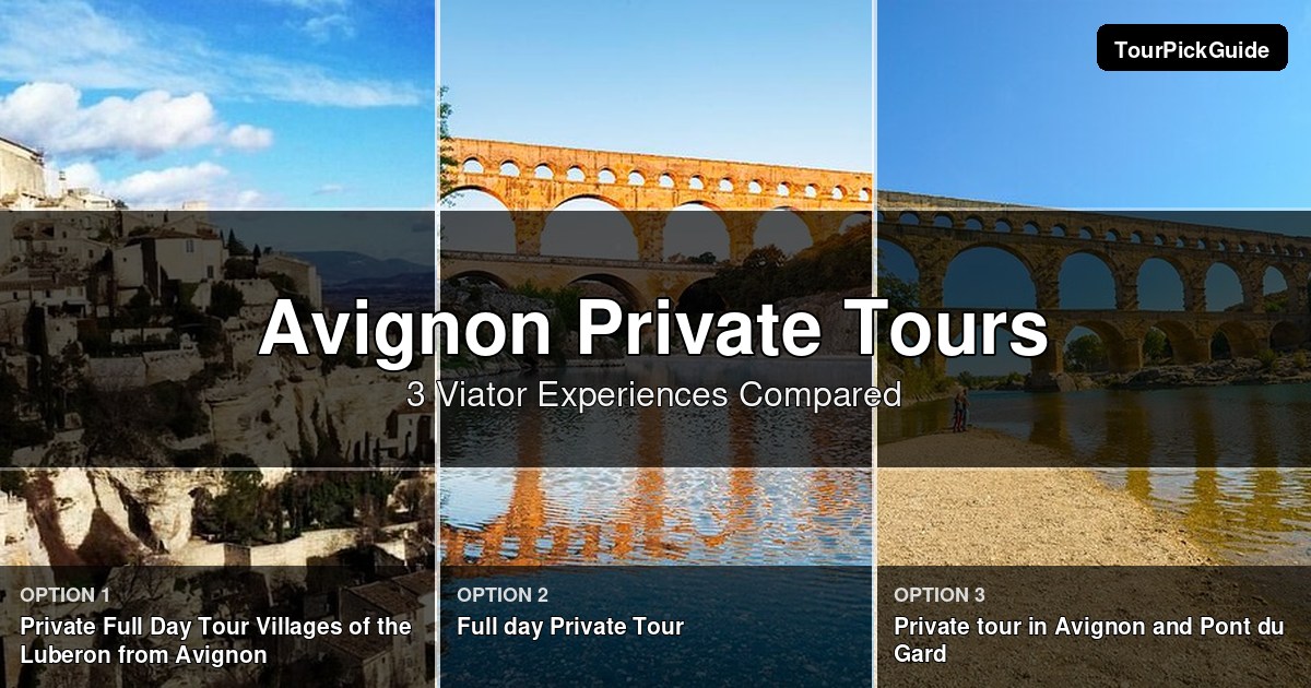 Avignon private tours – three Viator experiences compared
