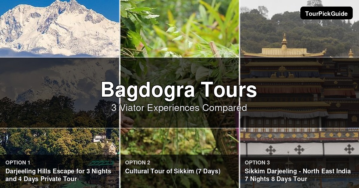 Bagdogra tours – three Viator experiences compared