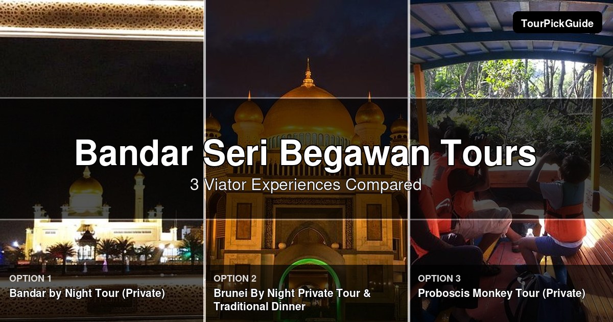 Bandar Seri Begawan tours – three Viator experiences compared