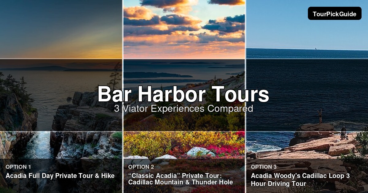 Bar Harbor tours – three Viator experiences compared