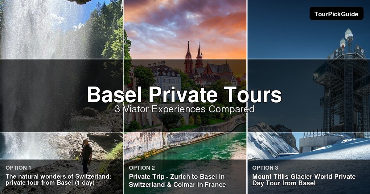 Basel private tours – three Viator experiences compared