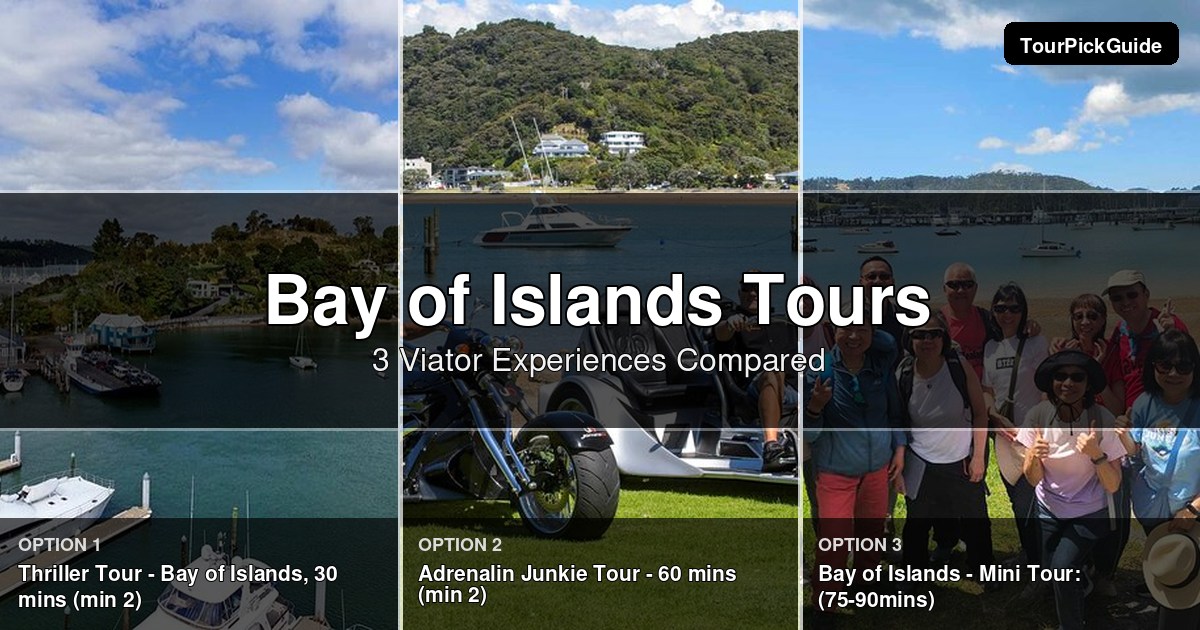 Bay of Islands tours – three Viator experiences compared