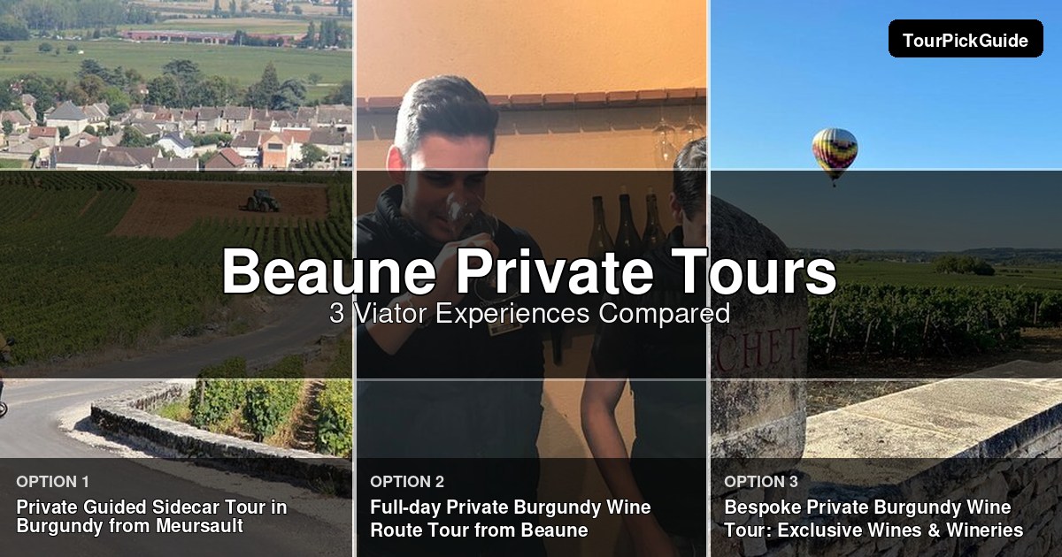 Beaune private tours – three Viator experiences compared