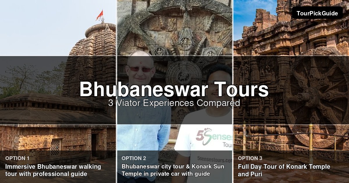 Bhubaneswar tours – three Viator experiences compared