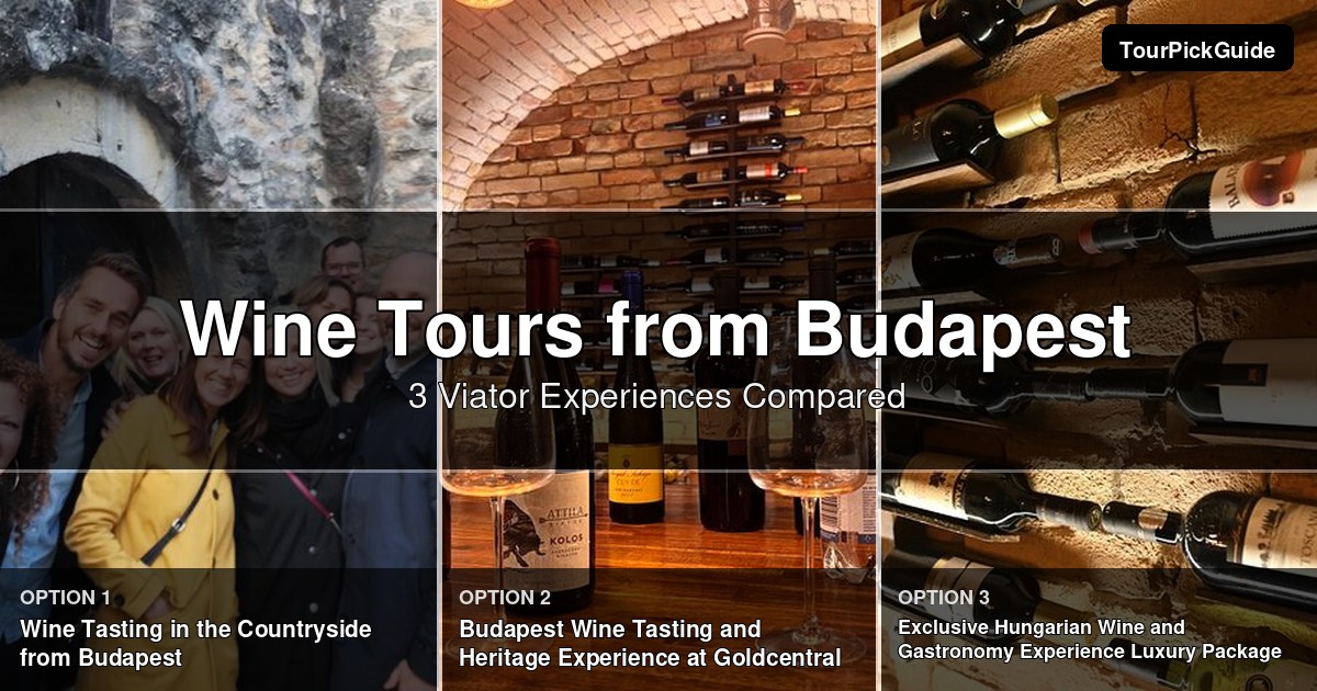Budapest wine tours – three Viator experiences compared
