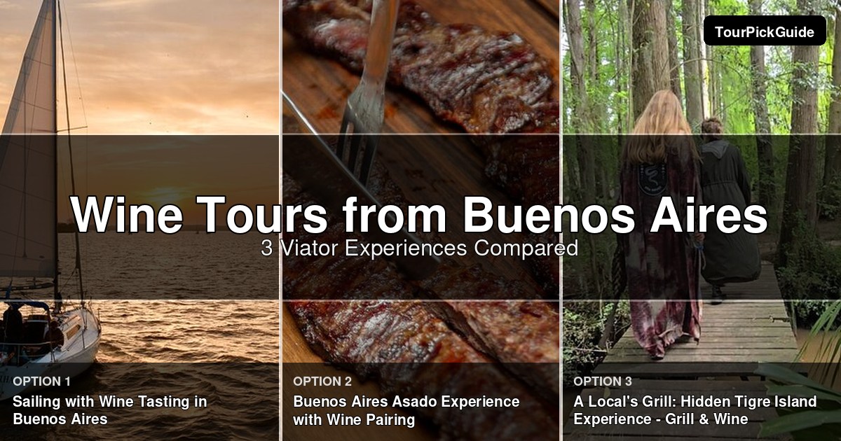 Buenos Aires wine tours – three Viator experiences compared