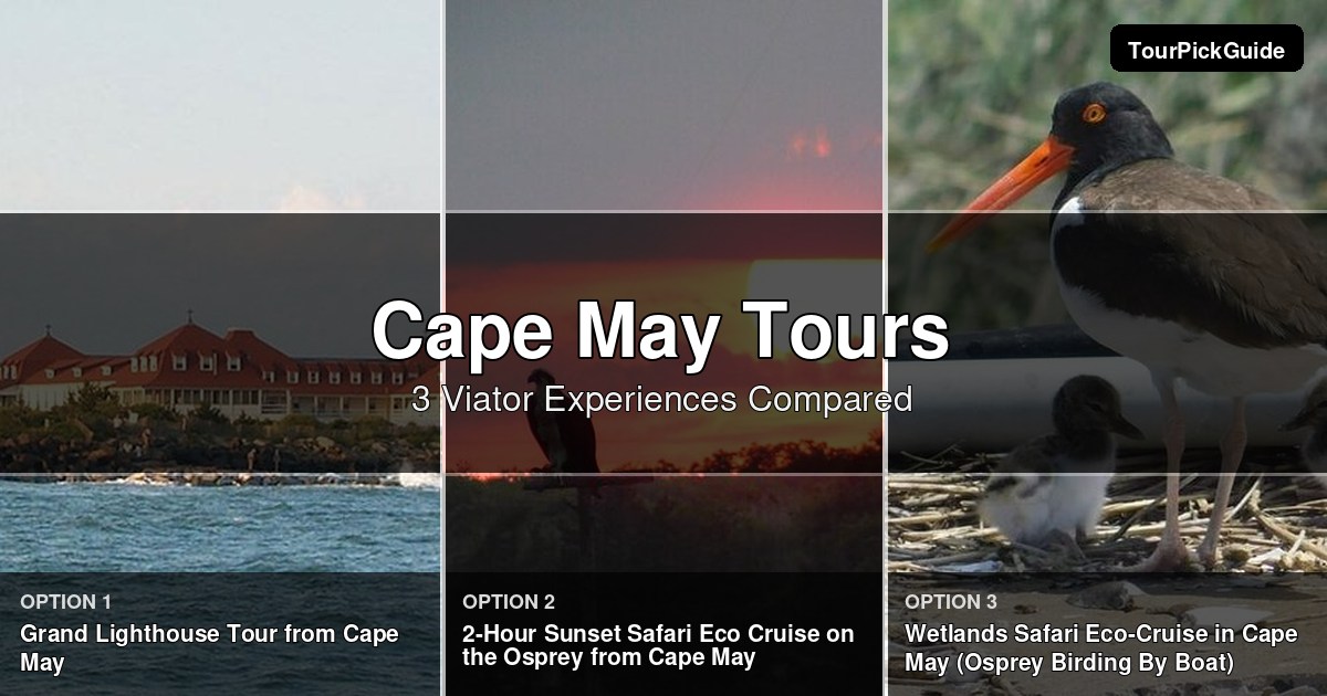 Cape May tours – three Viator experiences compared