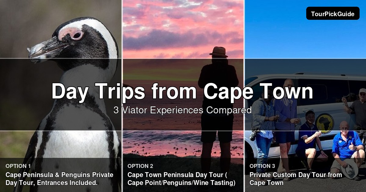 Cape Town day trips – three Viator experiences compared