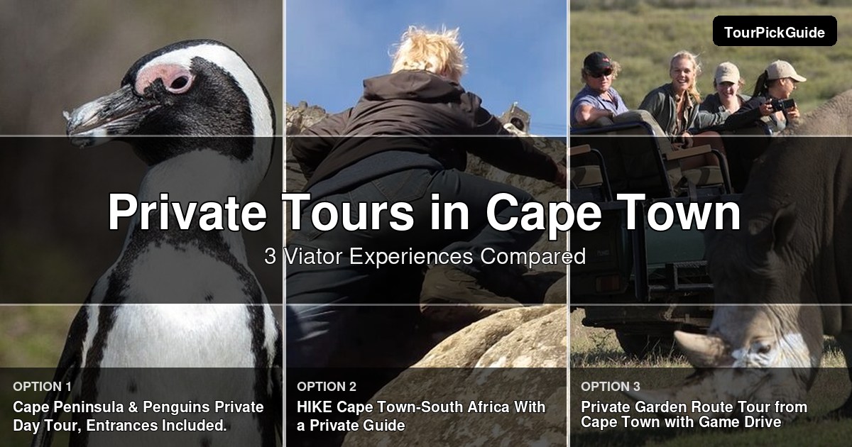 Cape Town private tours – three Viator experiences compared