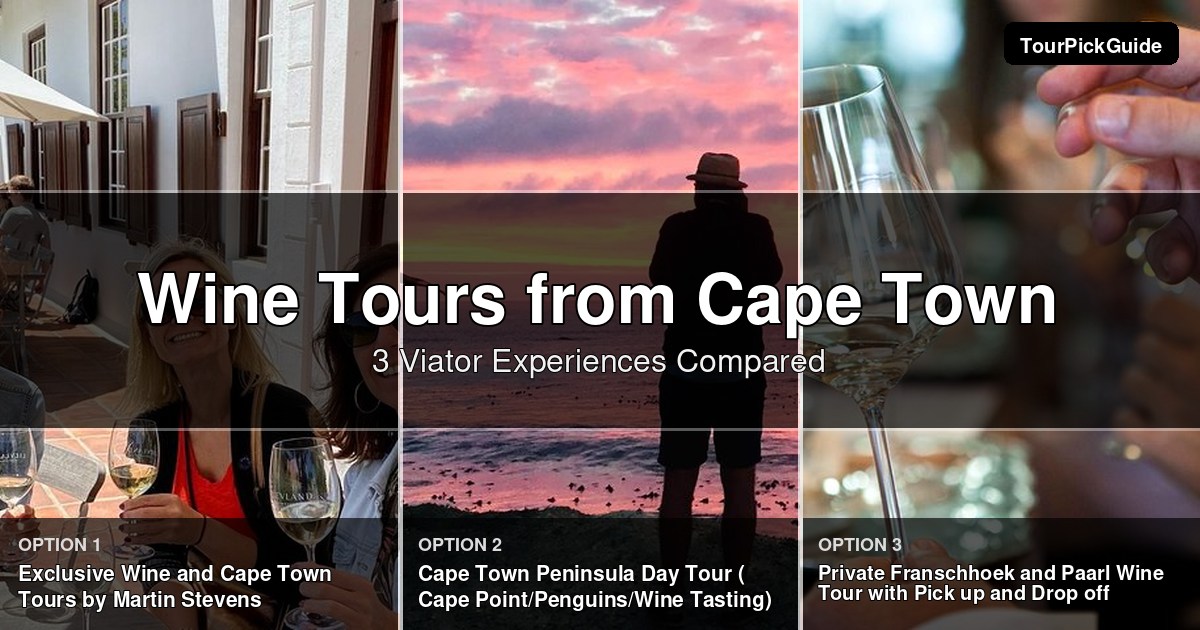 Cape Town wine tours – three Viator experiences compared