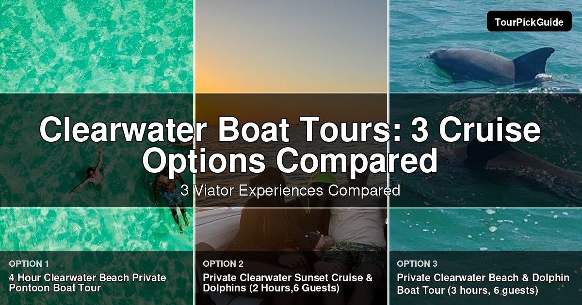 clearwater boat tours – three Viator experiences compared