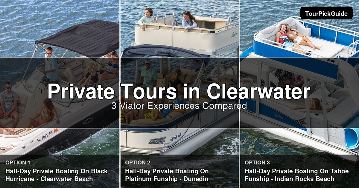 Clearwater private tours – three Viator experiences compared