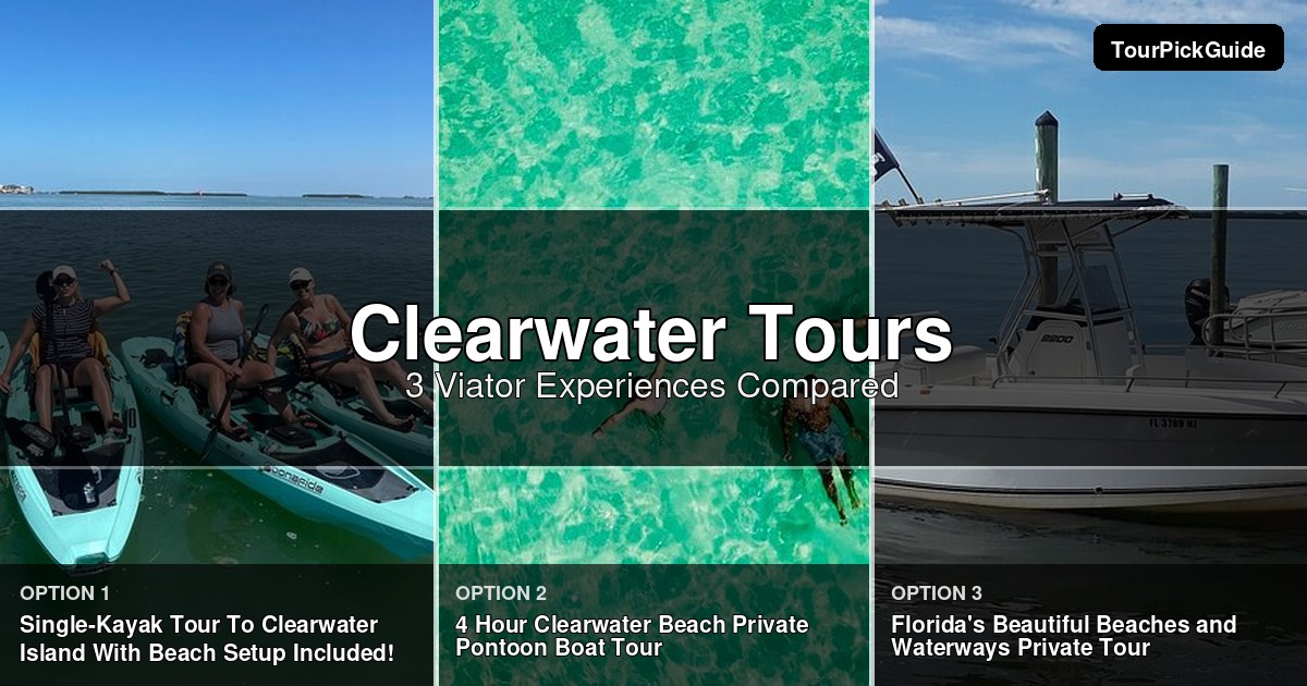 Clearwater tours – three Viator experiences compared