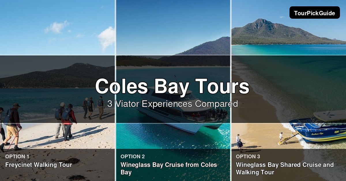 Coles Bay tours – three Viator experiences compared