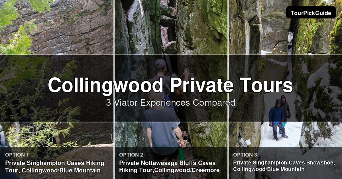 Collingwood private tours – three Viator experiences compared