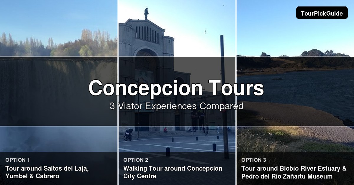 Concepcion tours – three Viator experiences compared