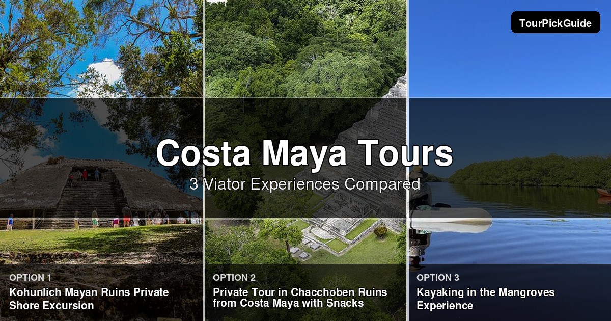 Costa Maya tours – three Viator experiences compared