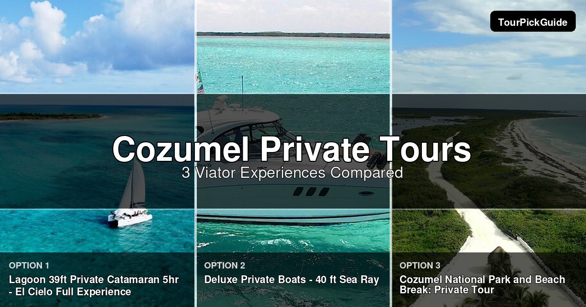Cozumel private tours – three Viator experiences compared