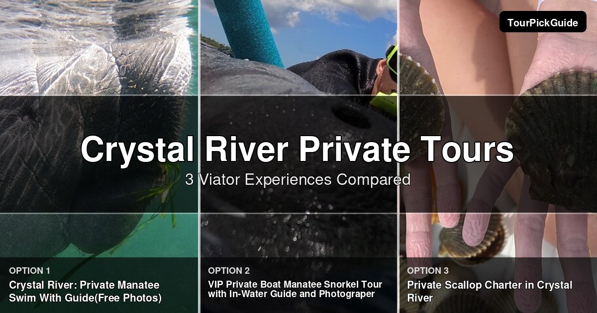 Crystal River private tours – three Viator experiences compared