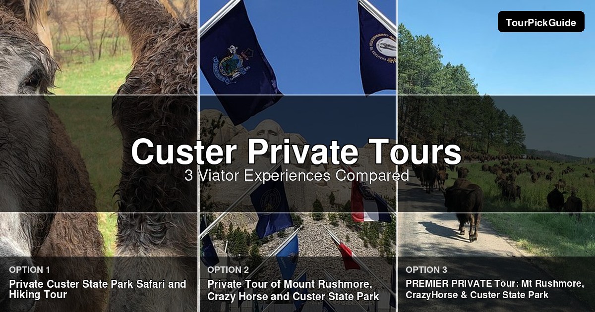 Custer private tours – three Viator experiences compared
