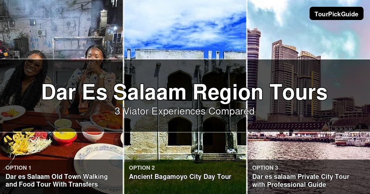 Dar Es Salaam Region tours – three Viator experiences compared