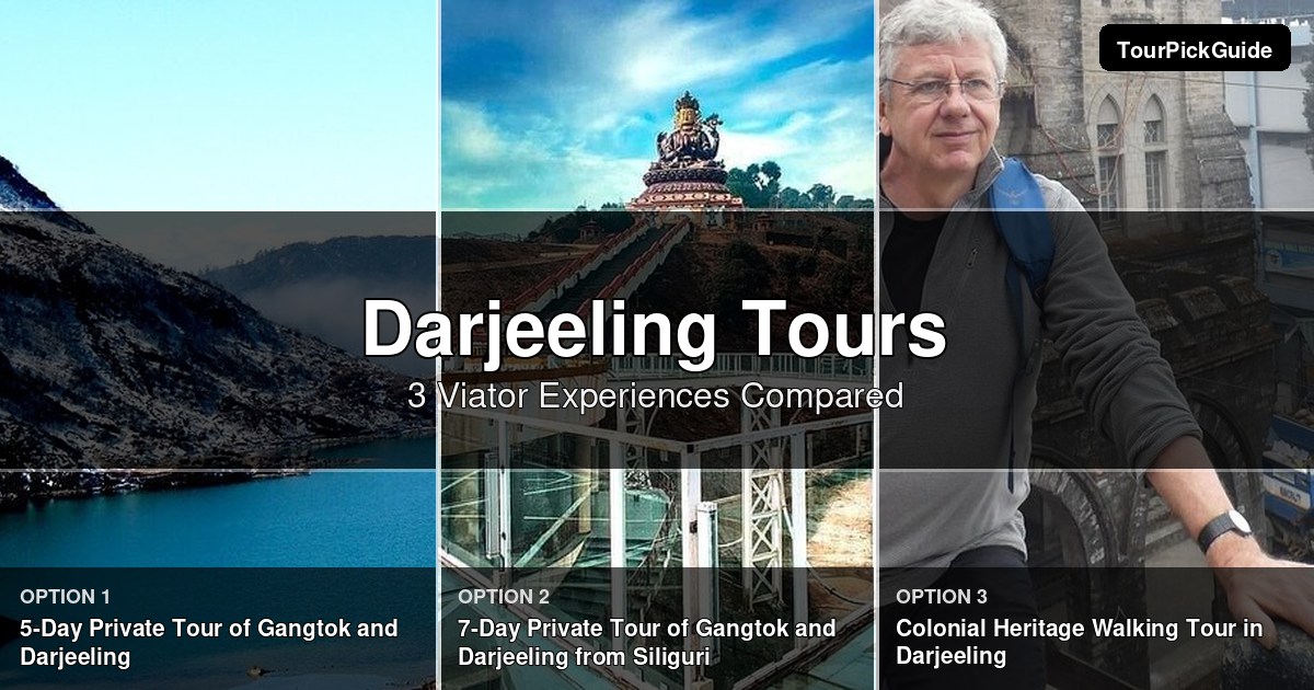 Darjeeling tours – three Viator experiences compared