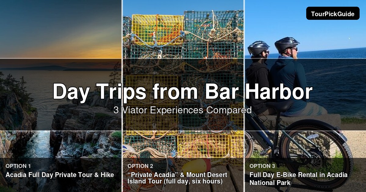 day trips from Bar Harbor – three Viator experiences compared