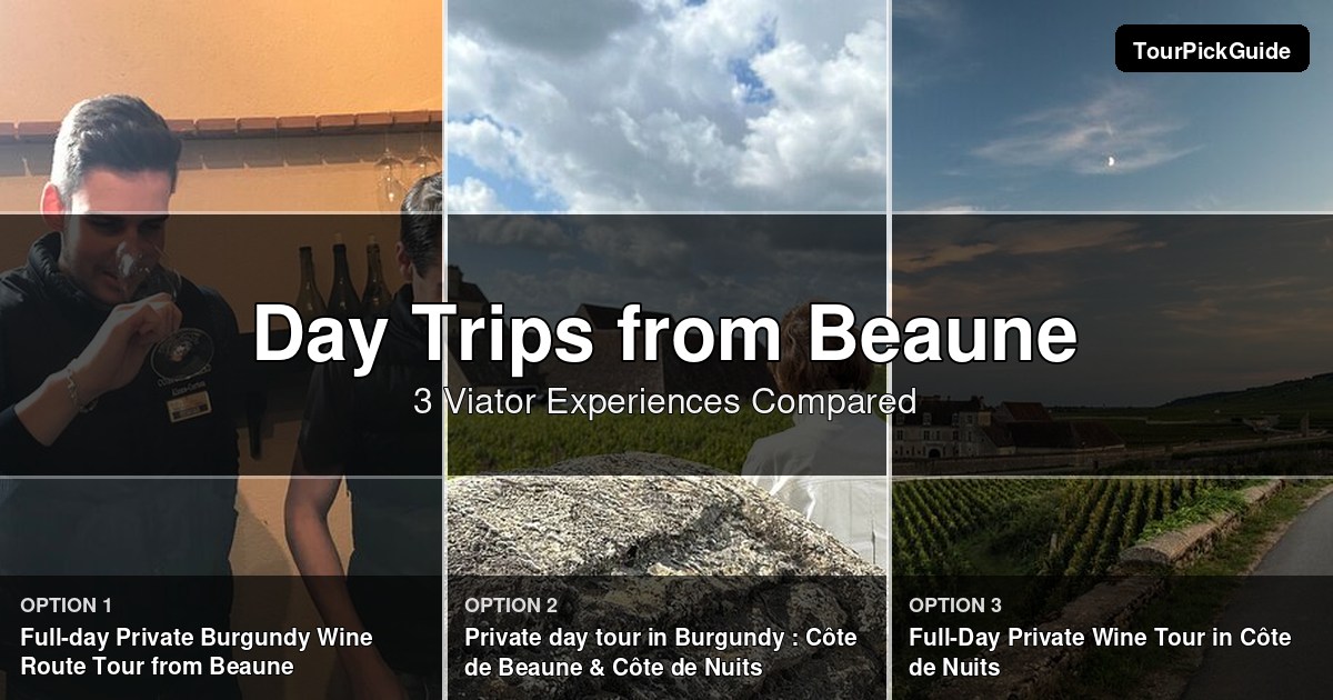 day trips from Beaune – three Viator experiences compared