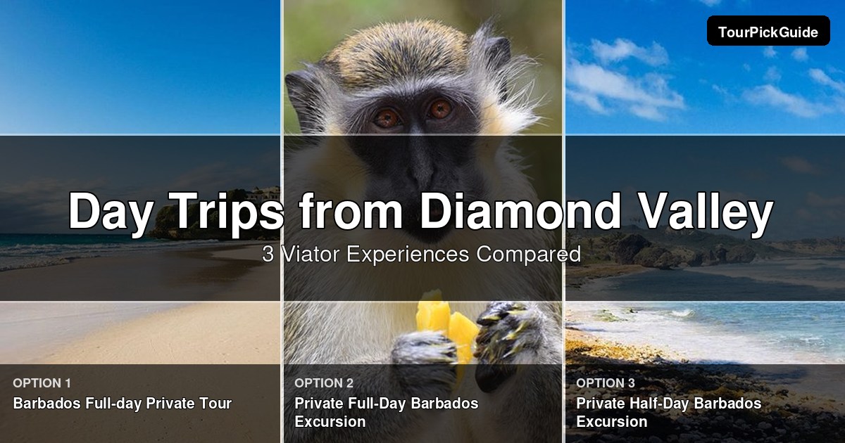 day trips from Diamond Valley – three Viator experiences compared