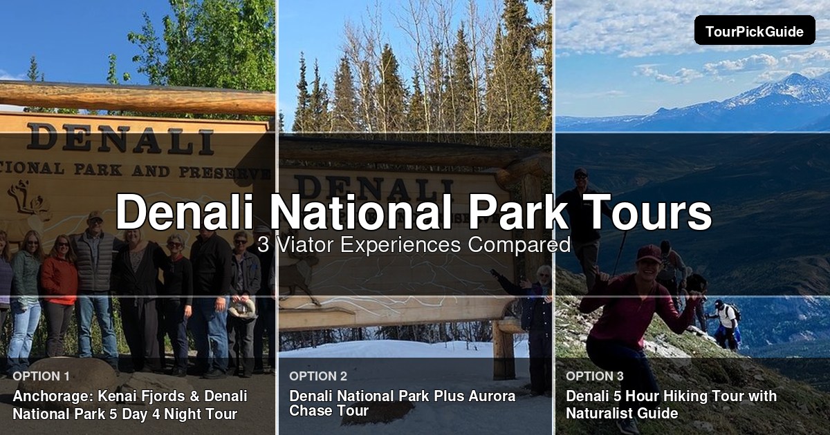 Denali National Park tours – three Viator experiences compared