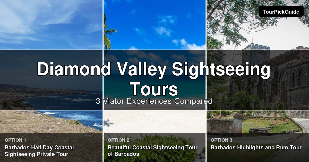 Diamond Valley sightseeing tours – three Viator experiences compared
