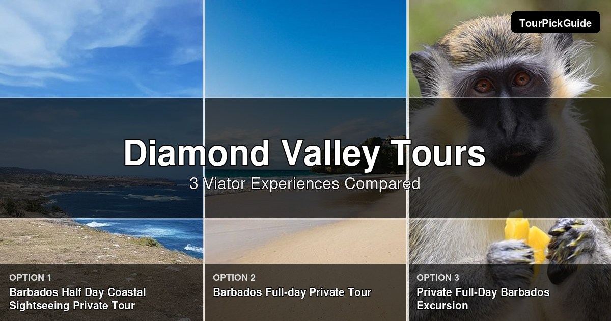 Diamond Valley tours – three Viator experiences compared