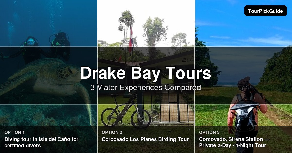 Drake Bay tours – three Viator experiences compared