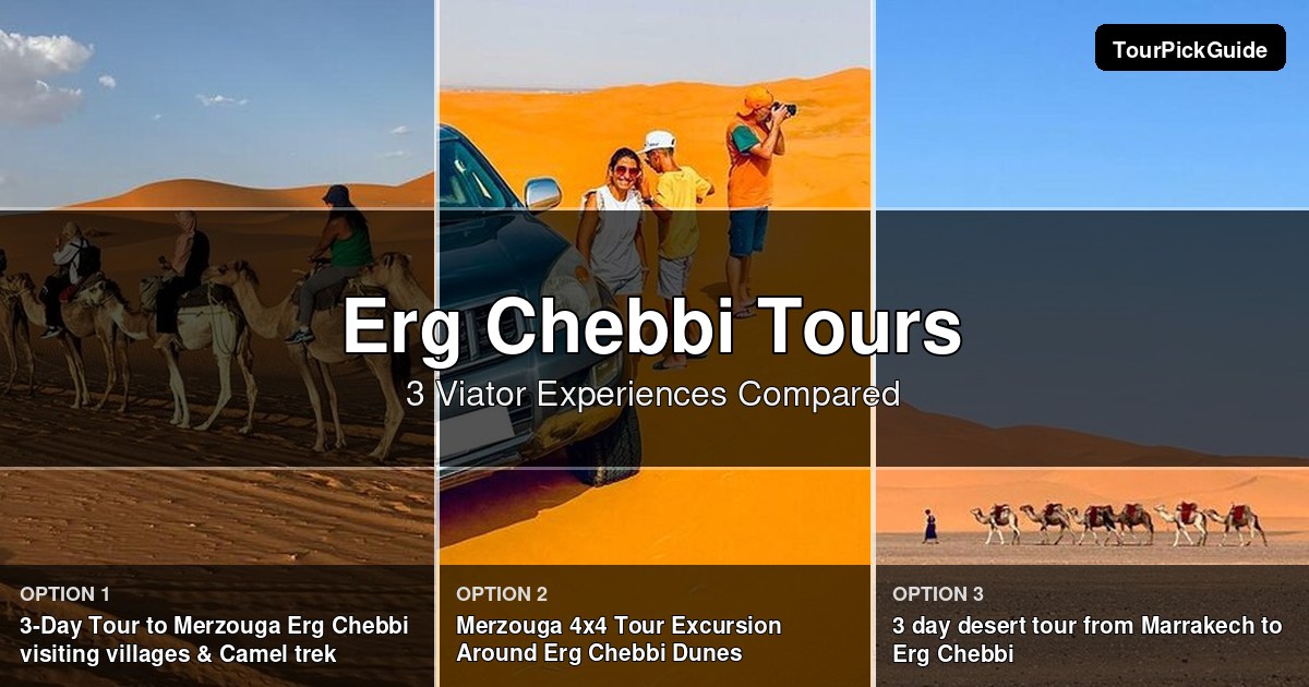 Erg Chebbi tours – three Viator experiences compared