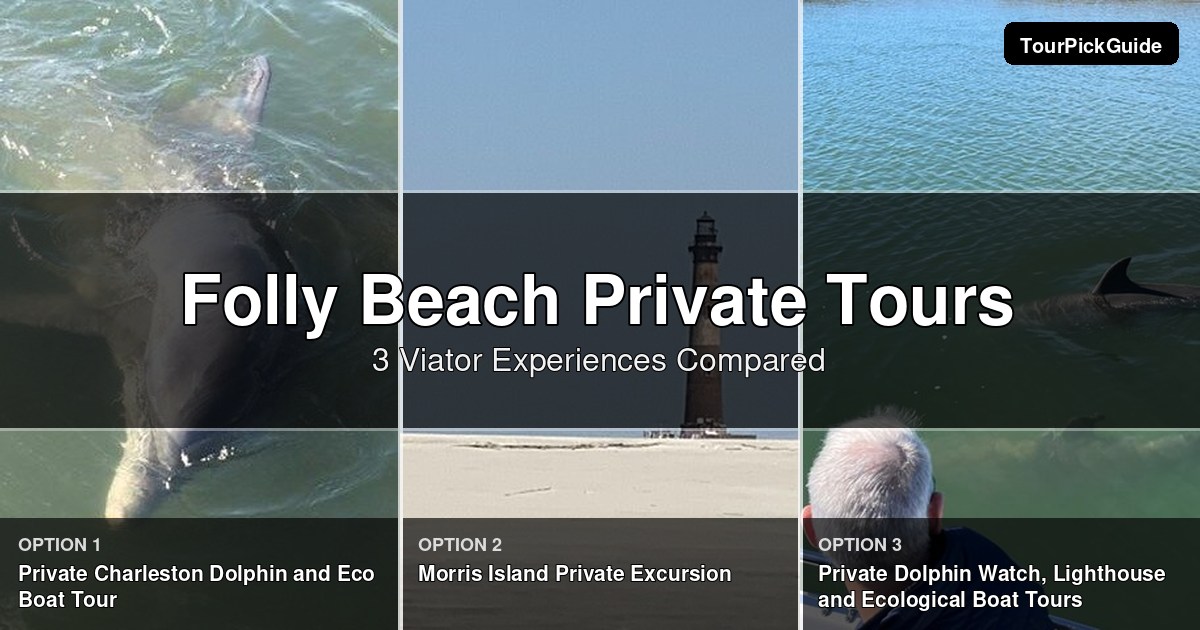 Folly Beach private tours – three Viator experiences compared