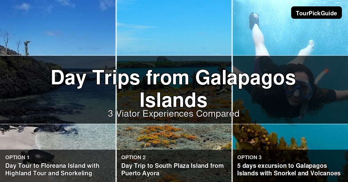 Galapagos Islands day trips – three Viator experiences compared