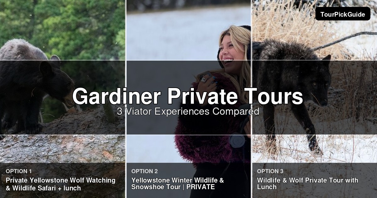 Gardiner private tours – three Viator experiences compared