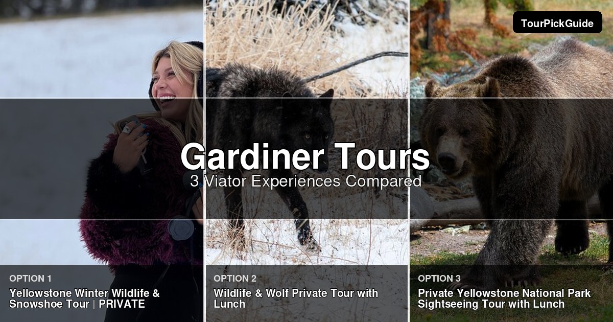 Gardiner tours – three Viator experiences compared