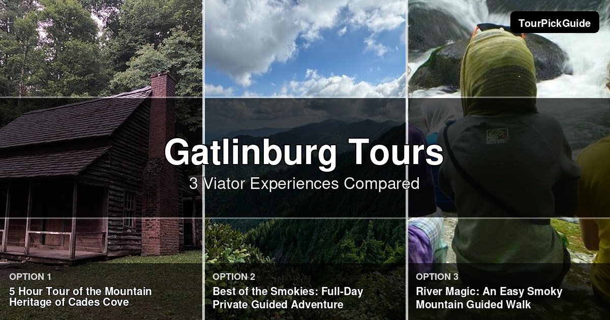 Gatlinburg tours – three Viator experiences compared