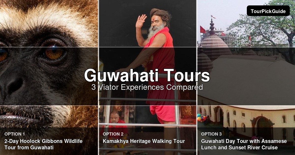 Guwahati tours – three Viator experiences compared