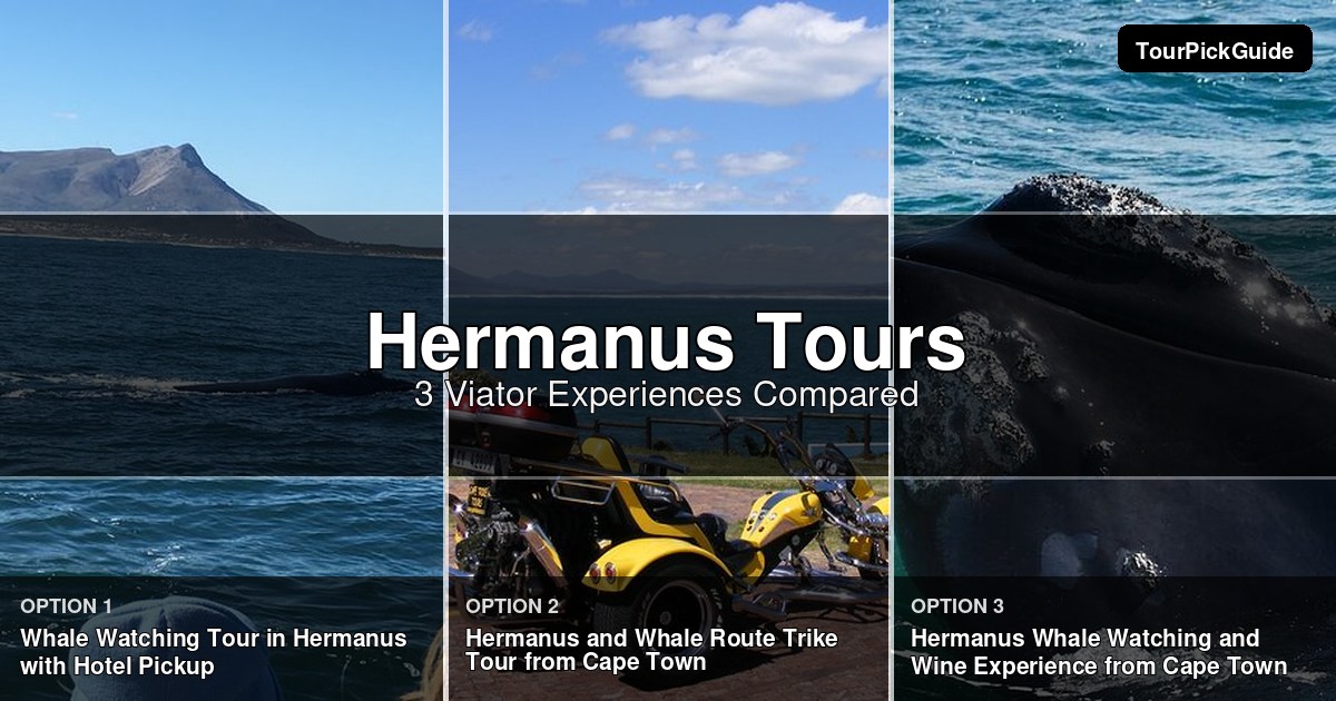 Hermanus tours – three Viator experiences compared