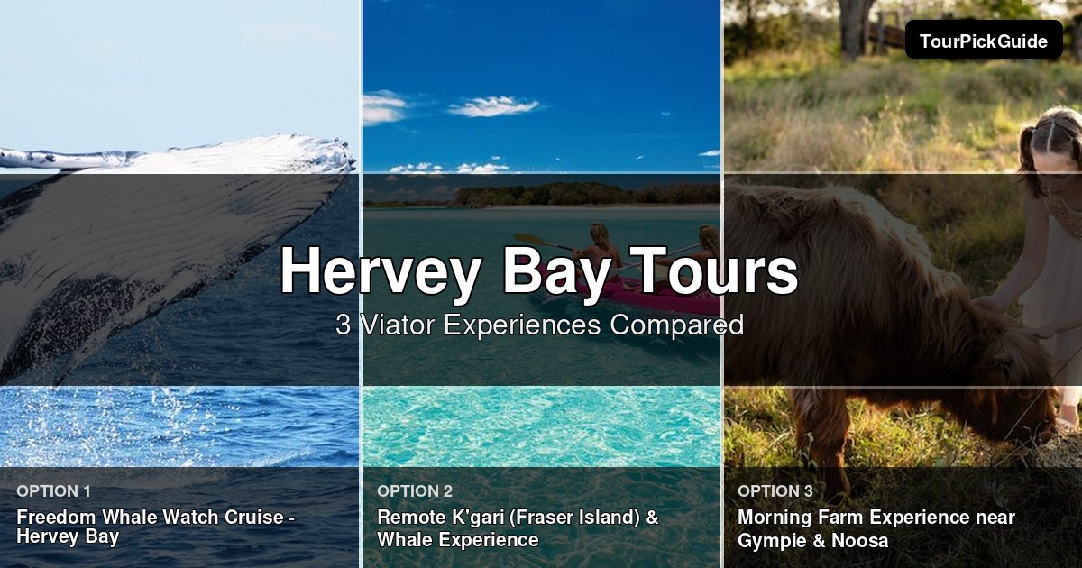Hervey Bay tours – three Viator experiences compared